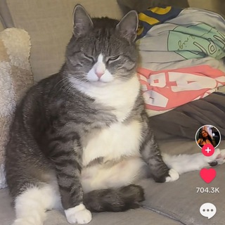 Telegram profile photo for 142