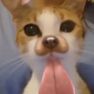 Telegram profile photo for ๐๐ซ๐ง๐ฅ๐ ๐๐ก๐๐ข