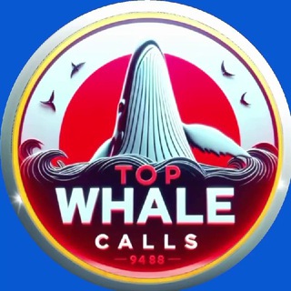 Telegram group profile photo for Top Whales Shilling Lounge
