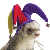 Telegram profile photo for Кисловодск