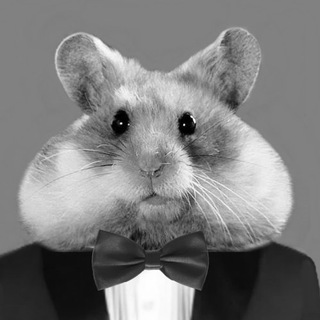Telegram profile photo for Crypto Hamster Отзывы