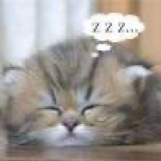 Telegram profile photo for наркопритон