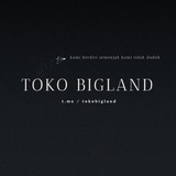 Telegram profile photo for TOKO BIGLAND // OPEN