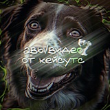 Telegram profile photo for авы/видео от кейсутс.