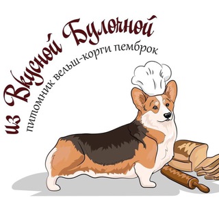 Telegram profile photo for Щенки вельш корги пемброк питомника «Из Вкусной Булочной»