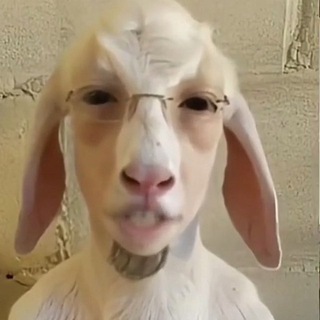 Telegram profile photo for А что скажешь ты?