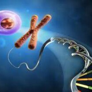 Telegram profile photo for Molecular biology94