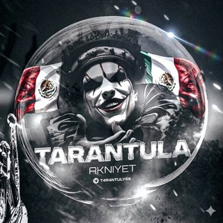 Telegram profile photo for TΛRΛNTULY