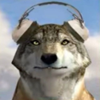 Telegram profile photo for Блок Vollkes