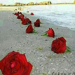 Telegram profile photo for عاشقی های من