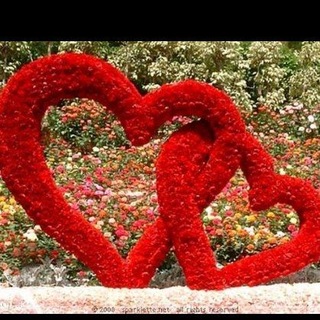 Telegram profile photo for ❤️عشقولانه❤️