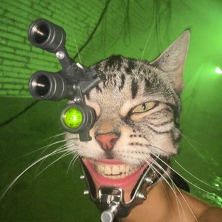 Telegram profile photo for Cyclops Cat
