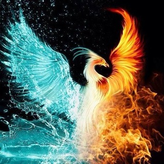 Telegram profile photo for https://t.me/Fhoeix_iran2