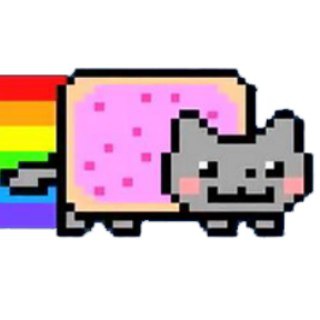 Telegram group profile photo for Kitten Coin