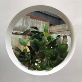 Telegram profile photo for نافِذَتي.