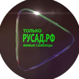 Telegram profile photo for РУСАД.РФ