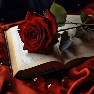 Telegram profile photo for حــ۫͜ـࢪوُفــ͡ـ ضــٰـُ͢ـًُائعـ๋͜ـۂةً