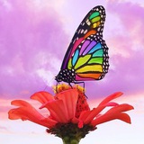 Telegram profile photo for پاسخ به سوالات✨🕊️