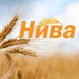 Telegram profile photo for Газета "НИВА", Зуевский район