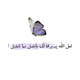 Telegram profile photo for تَـذكيـر || 🦢💜.