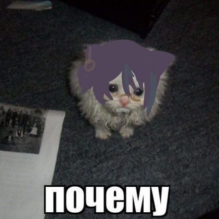 Telegram profile photo for Пирихадник
