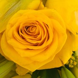 Telegram profile photo for 🌼الاختبار الشامل(دكتوراه)🌼