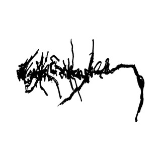 Telegram profile photo for Fåglar faller ner