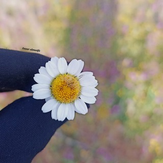 Telegram profile photo for بَـوحْ مُهاجِرةۦ ..🌾")