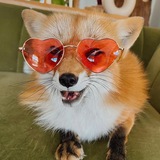 Telegram profile photo for Клочки по закоулочкам