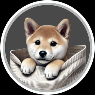 Telegram profile photo for FUKU Token ETH | Portal