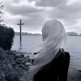 Telegram profile photo for ВИО TAME
