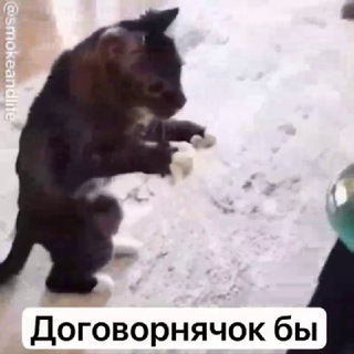 Telegram profile photo for ДОГОВОРНЯК. ПОДПИСАТЬСЯ. ДОГОВОРНЯЧОК. ПОДПИШИСЬ