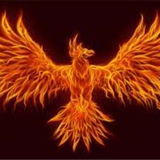 Telegram profile photo for Phoenix Indicator and Strategies