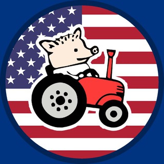 Telegram group profile photo for USA. Толерантная Справочная. ☢️🦆