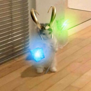 Telegram profile photo for Кладовка Киёри