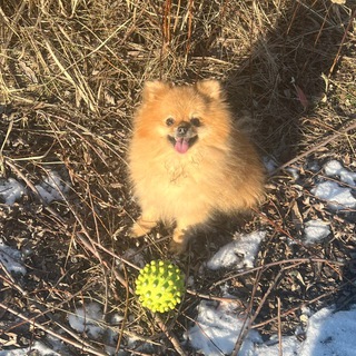 Telegram profile photo for Продаю