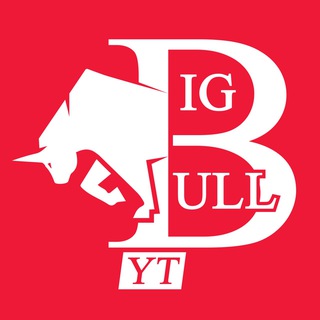 Telegram profile photo for BIG BULL YT