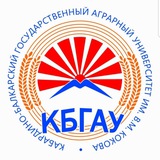 Telegram profile photo for Заурби Шхагапсоев