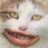 Telegram profile photo for Мужики греческие и латинские