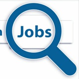 Telegram profile photo for Diploma Job Searching(All Branch)