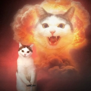 Telegram profile photo for Маковая сальтуха=^._.^= ∫