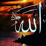 Telegram profile photo for ترکمن صحرا
