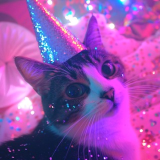 Telegram profile photo for Кошачья вечеринка | 14.06 | Zerkalo