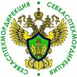 Telegram profile photo for ФГБУ "СевКасптехмордирекция"