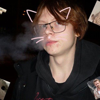 Telegram profile photo for фаст_вілк