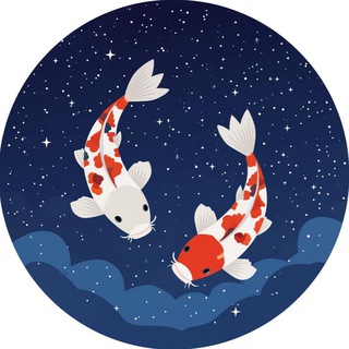 Telegram profile photo for Phan Dao Shop