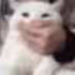 Telegram profile photo for подстилка дьявола TVGTVGTVGTVG
