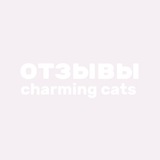 Telegram profile photo for charming cats | отзывы