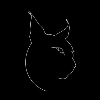 Telegram profile photo for blacc catz