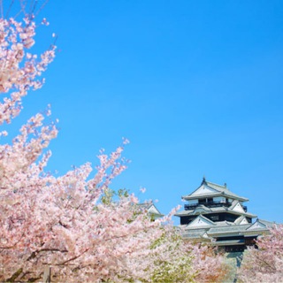 Telegram profile photo for 旅游素材